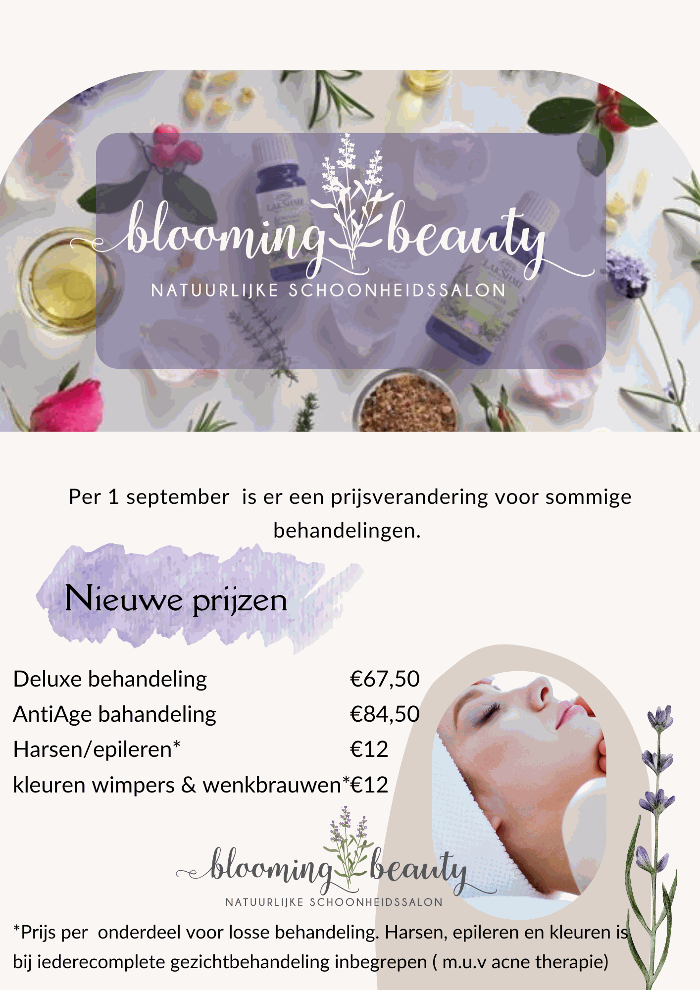 Odoo CMS - een grote afbeelding